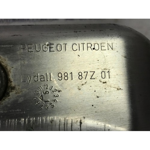 Термозахист Peugeot 308 1.6BlueHDI 2013-2021 98187Z01